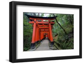 Japan, Kyoto. Torii Gates in the Fushimi-Inari-Taisha Shinto Shrine.-Dennis Flaherty-Framed Photographic Print