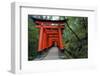 Japan, Kyoto. Torii Gates in the Fushimi-Inari-Taisha Shinto Shrine.-Dennis Flaherty-Framed Photographic Print