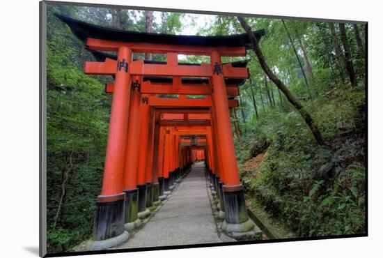 Japan, Kyoto. Torii Gates in the Fushimi-Inari-Taisha Shinto Shrine.-Dennis Flaherty-Mounted Photographic Print