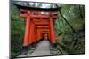 Japan, Kyoto. Torii Gates in the Fushimi-Inari-Taisha Shinto Shrine.-Dennis Flaherty-Mounted Photographic Print