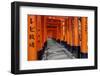 Japan, Kyoto. Torii Gates in the Fushimi-Inari-Taisha Shinto Shrine.-Dennis Flaherty-Framed Photographic Print