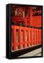 Japan, Kyoto. View of Fushimi Inari Taisha Shinto Shrine-Jaynes Gallery-Framed Stretched Canvas