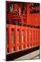 Japan, Kyoto. View of Fushimi Inari Taisha Shinto Shrine-Jaynes Gallery-Mounted Photographic Print