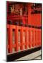 Japan, Kyoto. View of Fushimi Inari Taisha Shinto Shrine-Jaynes Gallery-Mounted Photographic Print