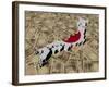 Japan Map Flag on Japanese Yen Illustration-fintastique-Framed Photographic Print