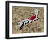 Japan Map Flag on Japanese Yen Illustration-fintastique-Framed Photographic Print