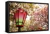 Japan Mint Cherry Blossom Season-NicholasHan-Framed Stretched Canvas