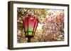 Japan Mint Cherry Blossom Season-NicholasHan-Framed Photographic Print