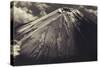 Japan, Mt Fuji-Dave Bartruff-Stretched Canvas