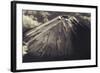 Japan, Mt Fuji-Dave Bartruff-Framed Photographic Print