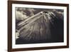 Japan, Mt Fuji-Dave Bartruff-Framed Photographic Print