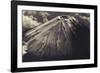 Japan, Mt Fuji-Dave Bartruff-Framed Photographic Print