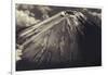 Japan, Mt Fuji-Dave Bartruff-Framed Photographic Print