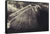 Japan, Mt Fuji-Dave Bartruff-Framed Stretched Canvas