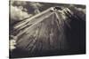 Japan, Mt Fuji-Dave Bartruff-Stretched Canvas