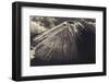 Japan, Mt Fuji-Dave Bartruff-Framed Photographic Print