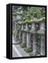Japan, Nara, Kasuga Shrine Lanterns-Rob Tilley-Framed Stretched Canvas