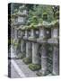 Japan, Nara, Kasuga Shrine Lanterns-Rob Tilley-Stretched Canvas