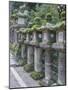 Japan, Nara, Kasuga Shrine Lanterns-Rob Tilley-Mounted Photographic Print