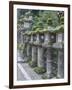 Japan, Nara, Kasuga Shrine Lanterns-Rob Tilley-Framed Photographic Print