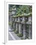 Japan, Nara, Kasuga Shrine Lanterns-Rob Tilley-Framed Photographic Print