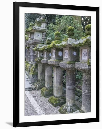 Japan, Nara, Kasuga Shrine Lanterns-Rob Tilley-Framed Photographic Print