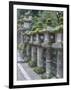 Japan, Nara, Kasuga Shrine Lanterns-Rob Tilley-Framed Photographic Print