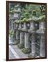 Japan, Nara, Kasuga Shrine Lanterns-Rob Tilley-Framed Photographic Print