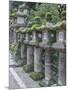 Japan, Nara, Kasuga Shrine Lanterns-Rob Tilley-Mounted Photographic Print