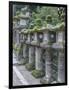 Japan, Nara, Kasuga Shrine Lanterns-Rob Tilley-Framed Photographic Print