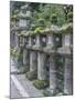 Japan, Nara, Kasuga Shrine Lanterns-Rob Tilley-Mounted Photographic Print