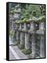 Japan, Nara, Kasuga Shrine Lanterns-Rob Tilley-Framed Stretched Canvas