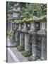 Japan, Nara, Kasuga Shrine Lanterns-Rob Tilley-Stretched Canvas