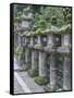 Japan, Nara, Kasuga Shrine Lanterns-Rob Tilley-Framed Stretched Canvas