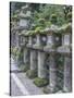 Japan, Nara, Kasuga Shrine Lanterns-Rob Tilley-Stretched Canvas