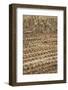 Japan, Nara Prefecture, Heguri-Cho. Close-Up of Drying Rice-Jaynes Gallery-Framed Photographic Print