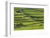 Japan, Nara Prefecture, Soni Plateau. Rice Terraces-Jaynes Gallery-Framed Photographic Print