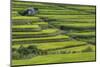 Japan, Nara Prefecture, Soni Plateau. Rice Terraces-Jaynes Gallery-Mounted Photographic Print