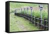 Japan, Nara Prefecture, Soni Plateau. Wooden lanterns along a fence.-Dennis Flaherty-Framed Stretched Canvas