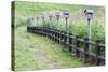 Japan, Nara Prefecture, Soni Plateau. Wooden lanterns along a fence.-Dennis Flaherty-Stretched Canvas