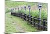 Japan, Nara Prefecture, Soni Plateau. Wooden lanterns along a fence.-Dennis Flaherty-Mounted Photographic Print