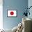 Japan National Flag Poster Print-null-Framed Poster displayed on a wall