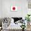Japan National Flag-null-Mounted Art Print displayed on a wall