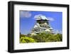 Japan, Osaka, Nara Prefecture. View of the Osaka Castle.-Dennis Flaherty-Framed Photographic Print