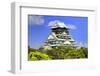 Japan, Osaka, Nara Prefecture. View of the Osaka Castle.-Dennis Flaherty-Framed Photographic Print