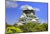 Japan, Osaka, Nara Prefecture. View of the Osaka Castle.-Dennis Flaherty-Mounted Photographic Print