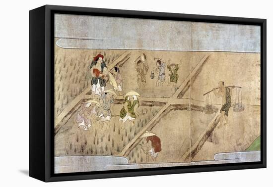 Japan: Rice Farming-null-Framed Stretched Canvas
