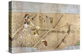 Japan: Rice Farming-null-Stretched Canvas