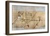 Japan: Rice Farming-null-Framed Giclee Print