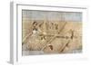 Japan: Rice Farming-null-Framed Giclee Print